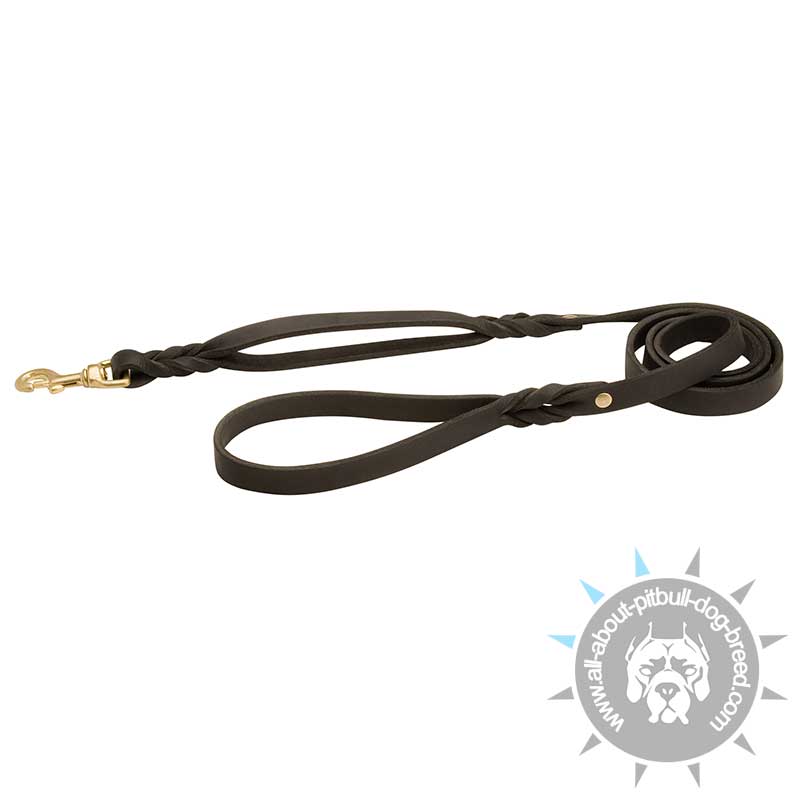 Cheap leashes shop