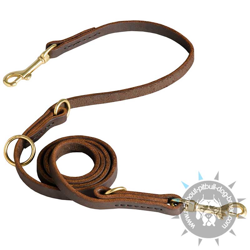 Leather Dog Leash for Training, Walking, Tracking