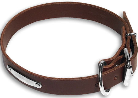 PITBULL GREAT Brown dog collar 19 inch/19'' collar -C456
