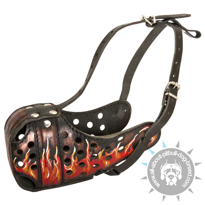 Hand painted Leather Dog Muzzle "Dondi-FLAMES " for Pitbull