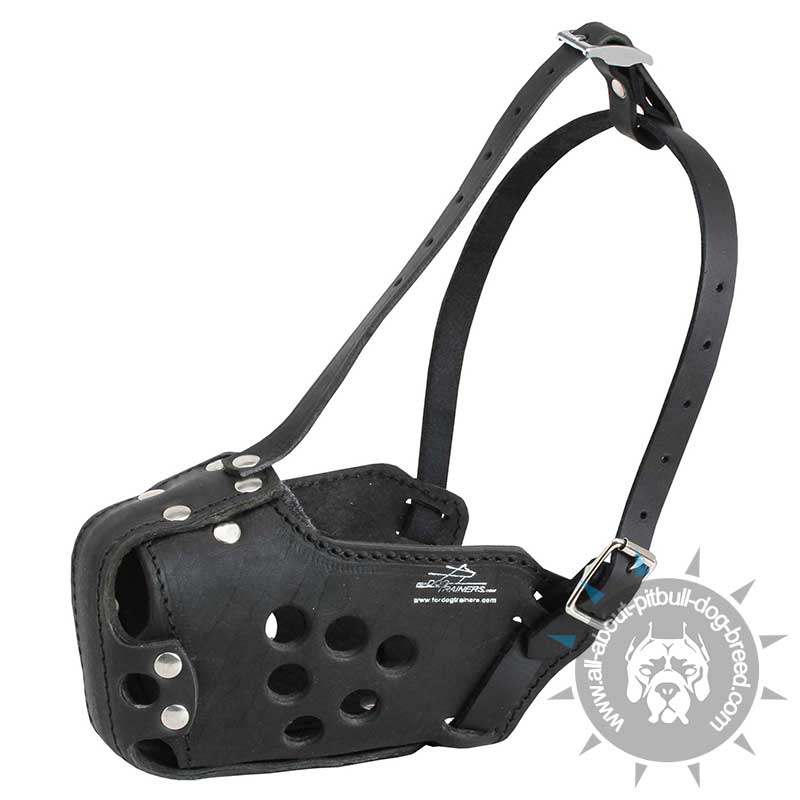 Military Pitbull Muzzle for Training, Police, Agitation