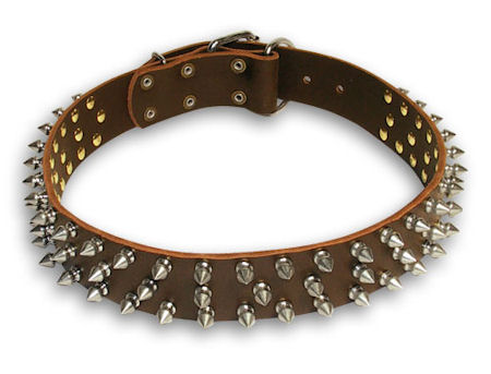 Spiked Brown collar 24'' for PITBULL /24 inch dog collar - S44