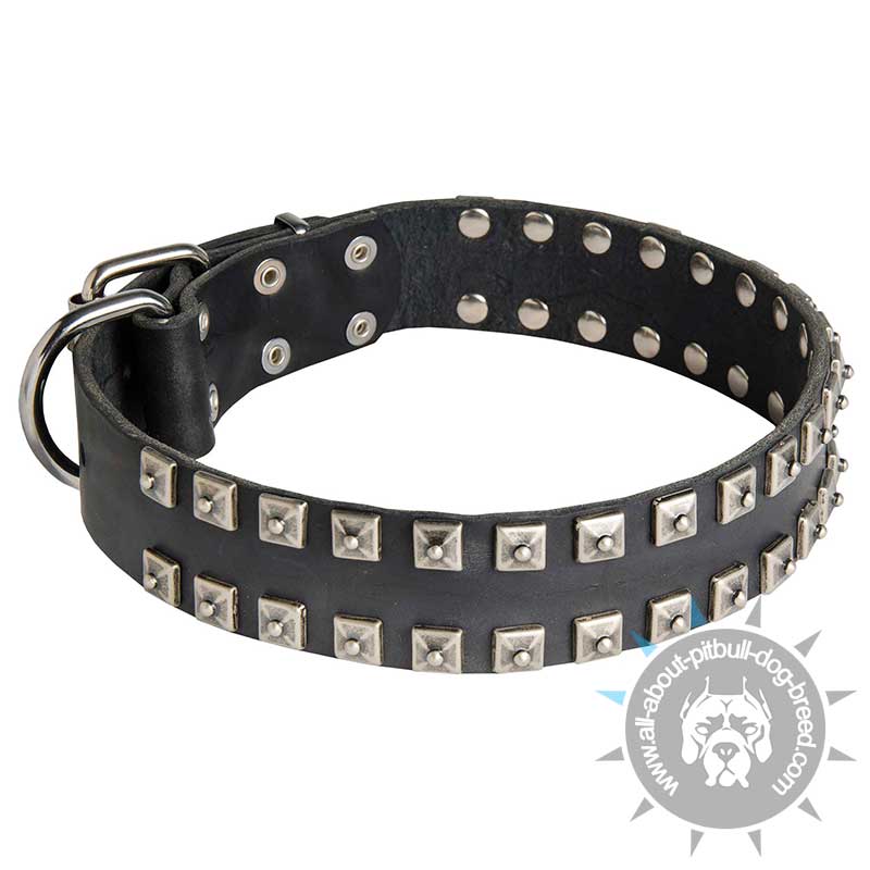 Fashion Leather Pitbull Collar Decorated in "Caterpillar Style"