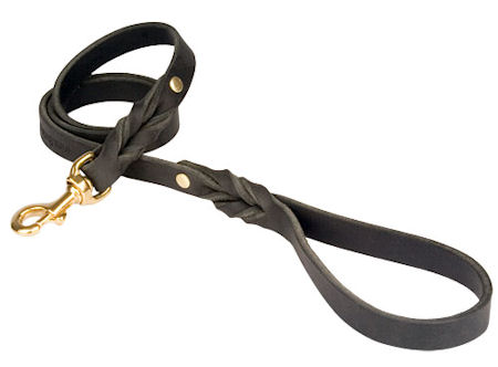 Looking for PETCO Twisted Leather Lead for Pitbull? - Click Image to Close