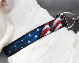 usa leather dog collar for pitbull