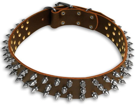 Leather Spiked dog collar for APBT 