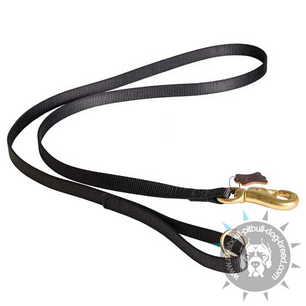 Easy in Use Nylon Dog Leash