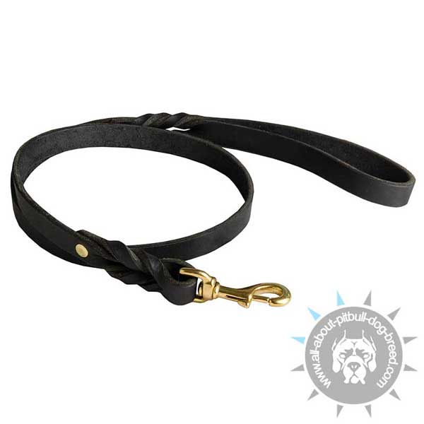 Reliable leather dog leash