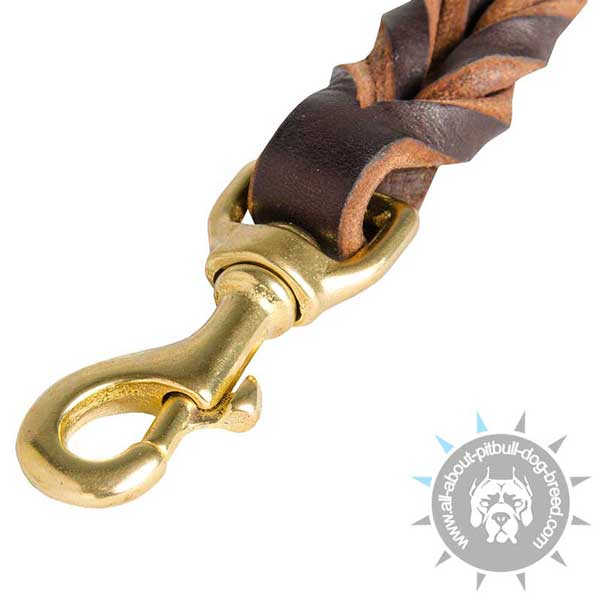 Reliable Leather Braided Leash