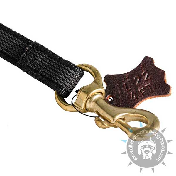 Brass Snap Hook on Pitbull Nylon Leash