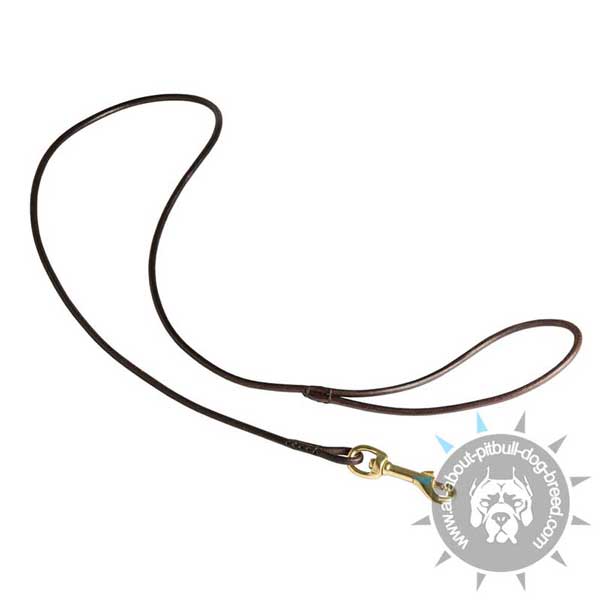 Dog Show Round Leather Leash