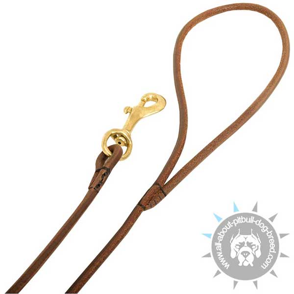 Dog Show Round Leather Leash