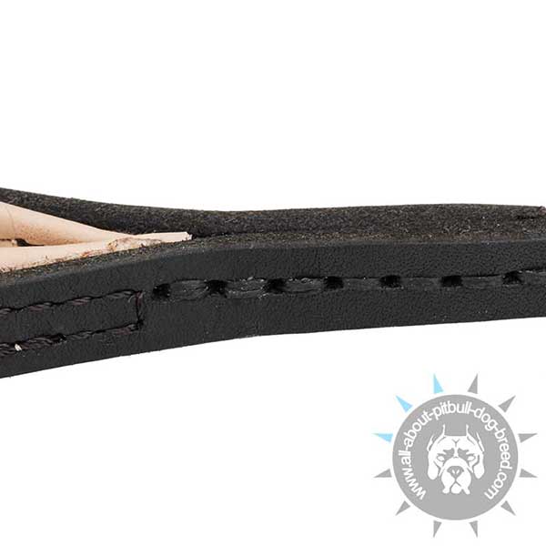 Extra DurableLeather Dog Leash of Genuine Leather