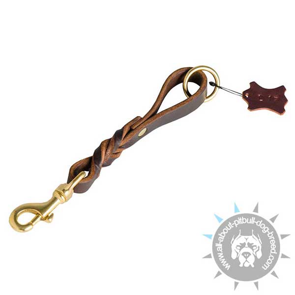 Braided Leather Dog Leash for Comfy Walking