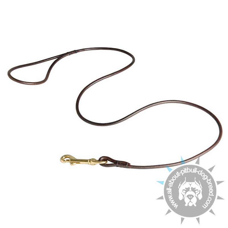 thin leather dog leash