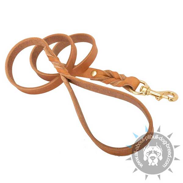 Reliable leather dog leash with heavy duty hardware