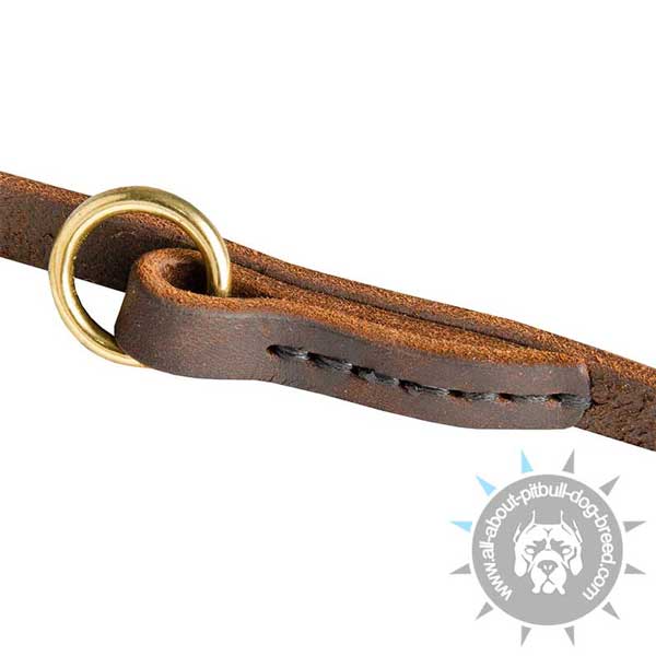 Strong Leather Dog Leash with Stitched Hardware