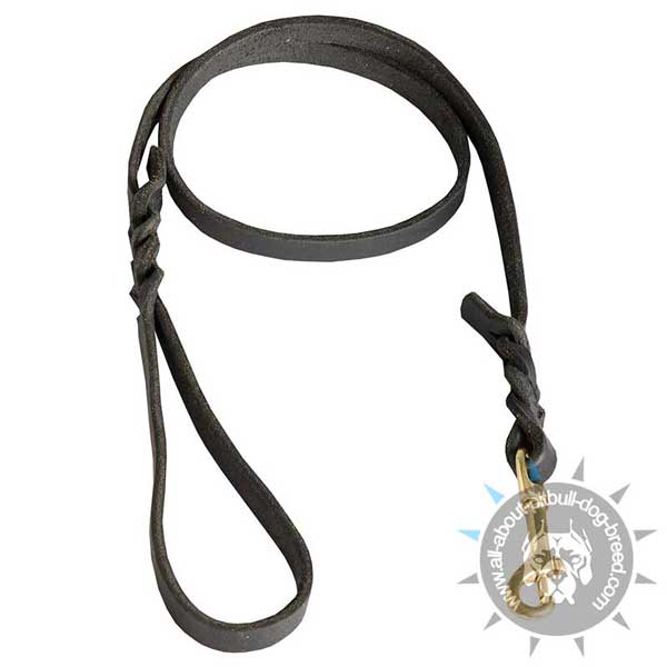 Durable Leather Dog Leash with Sturdy Hardware