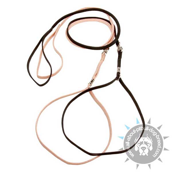 Nylon Lead and Collar Sets