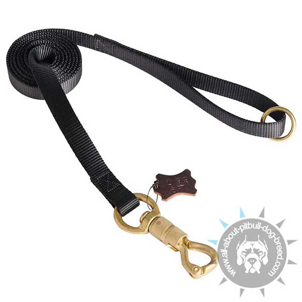 Brass Snap Hook on Pitbull Nylon Leash