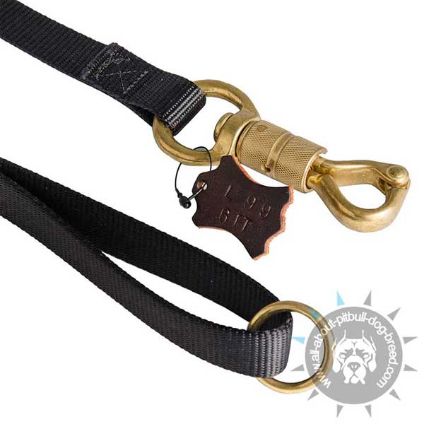 Nylon Dog Leash with Sturdy Fittings