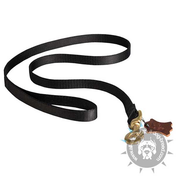 All weather nylon dog leash