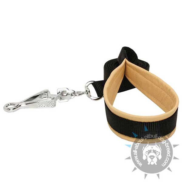 Reliable nylon dog leash with durable hardware