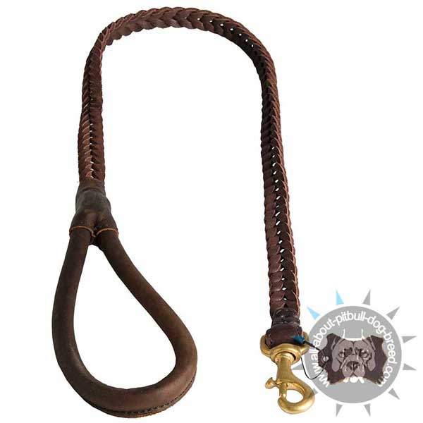 Braided Leather Pitbull Leash Stitched