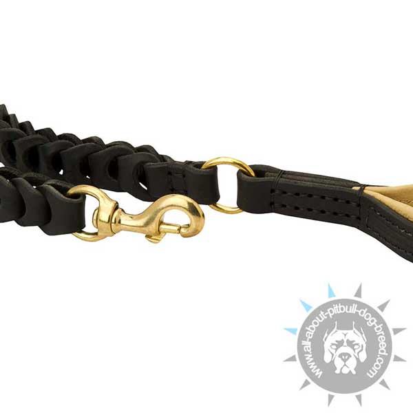 Braided Leather Pitbull Leash Equipped with Stitched Brass Fittings
