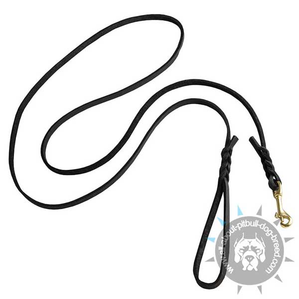 Leather Pitbull Leash for Daily Use