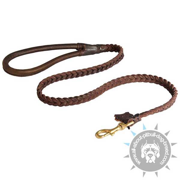 Hand Braided Leather Pitbull Leash with Handle