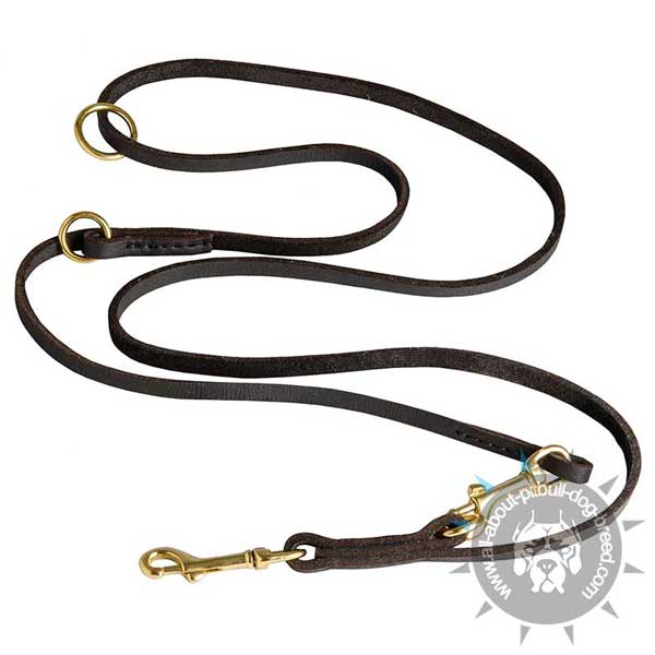 Multifunctional Leather Pitbull Leash for Any Occasion