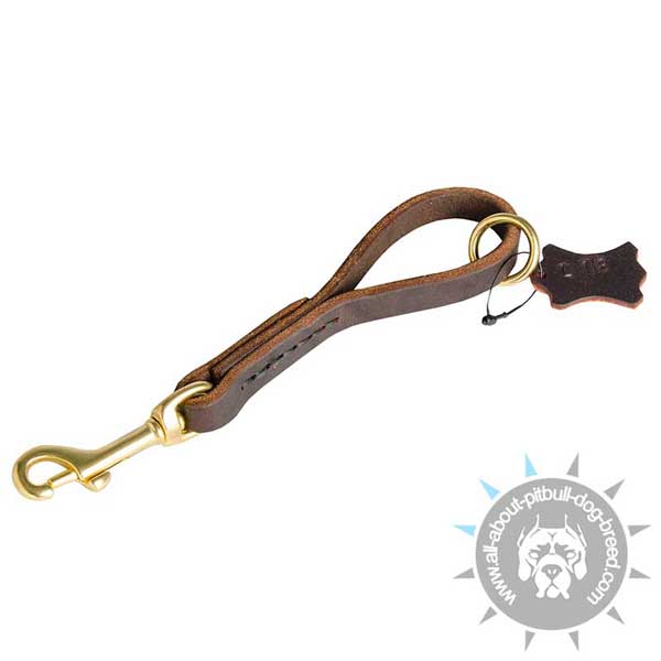  Pitbull Leash for Better Training