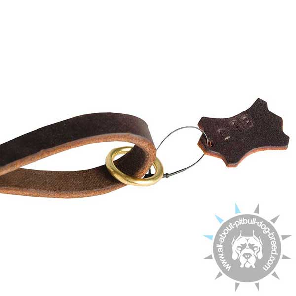 Leather Pitbull Leash for Dog Walking