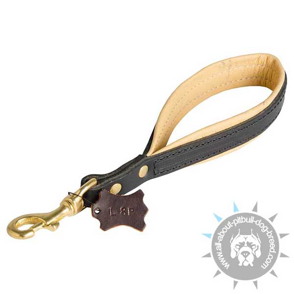 Pitbull Leash with Support Material
