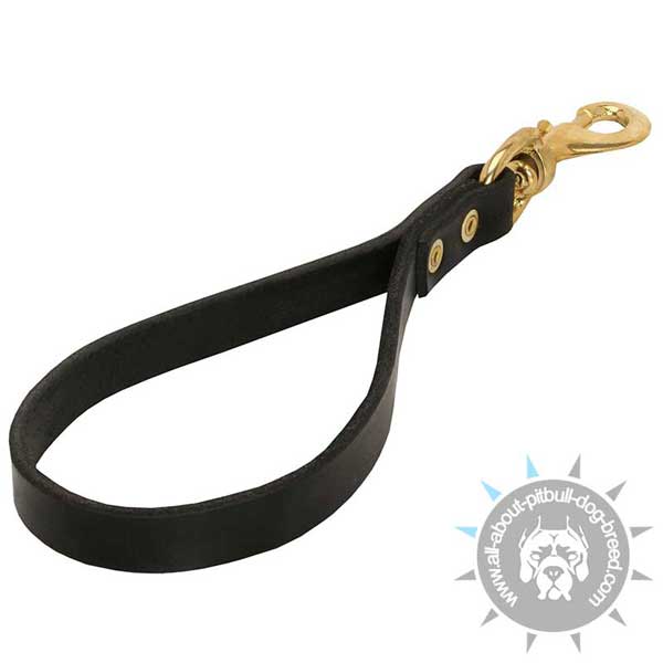Short Pitbull Leash for Daily Use