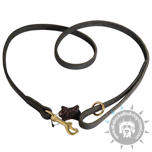 Stitched Leather Pitbull Leash for Tracking