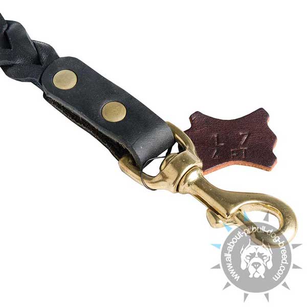 Leather Pitbull Leash Equipped with Strong Brass Snap Hook