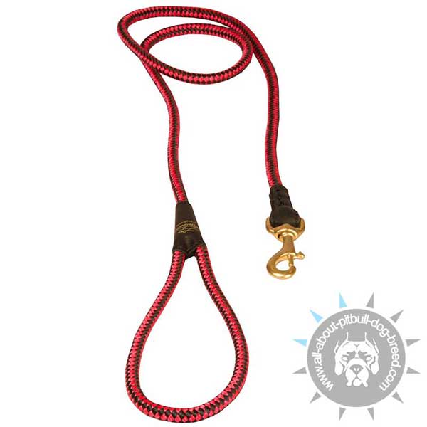 Bright Red Nylon Cord Pitbull Leash with Handle