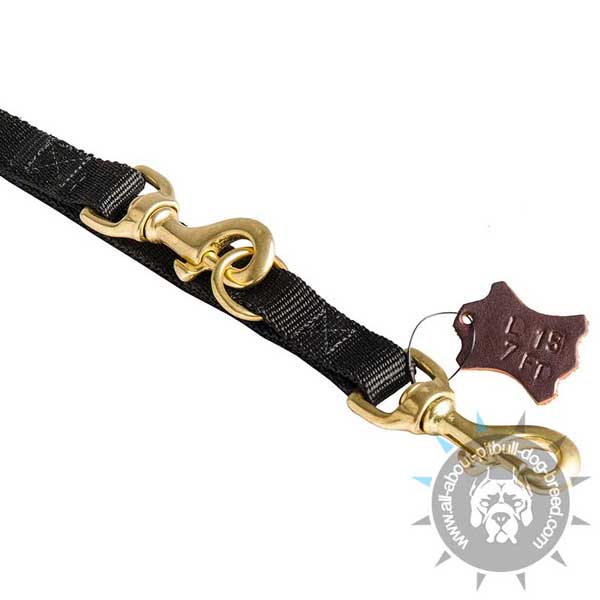 Nylon Pitbull Leash with Stitched Brass Hardware