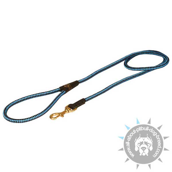 Blue Nylon Cord Pitbull Leash for Strong Dogs