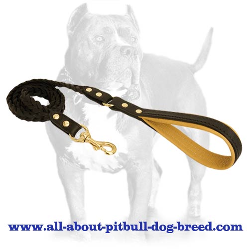 Braided Handcrafted Leather Dog Leash