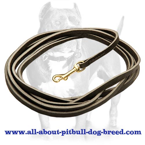 leather dog leash