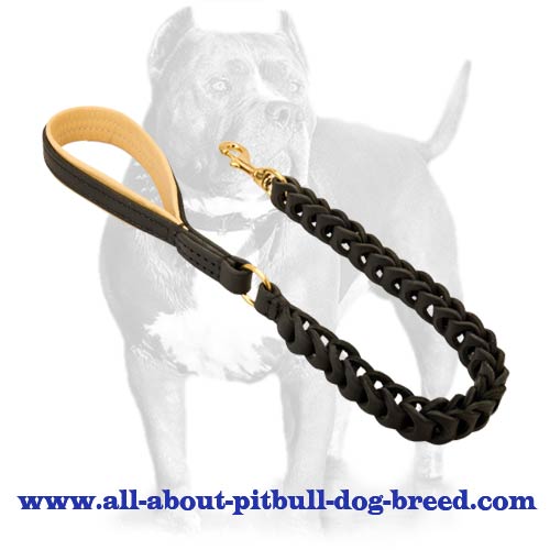 Leather Dog Leash