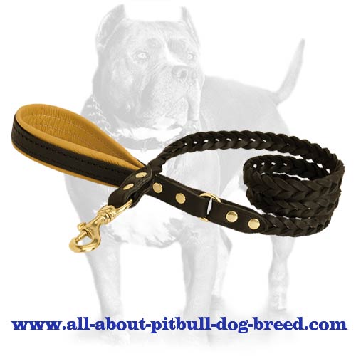 Leather Dog Leash with Padded Handle