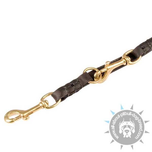 Training Leather Dog Leash Equipped with Snap Hooks and Rings