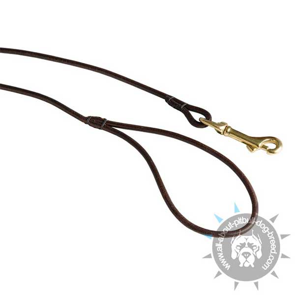 Round Leather Dog Leash with Comfy Handle