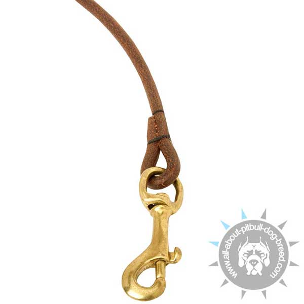 Brass Snap Hook on Pitbull Leather Leash