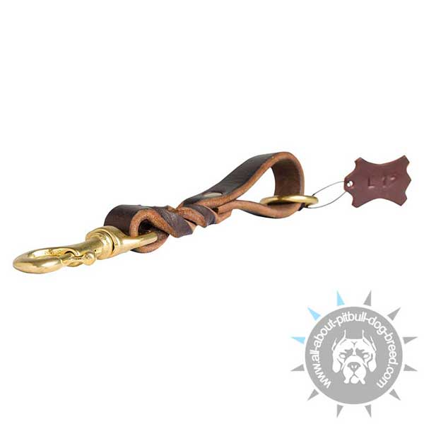 Convenient Leather Dog Leash with Comfy Handle
