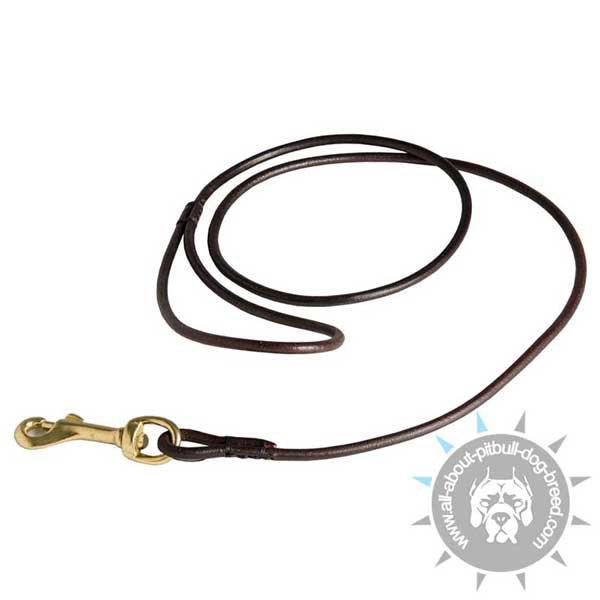 Brass Snap Hook on Pitbull Leather Leash